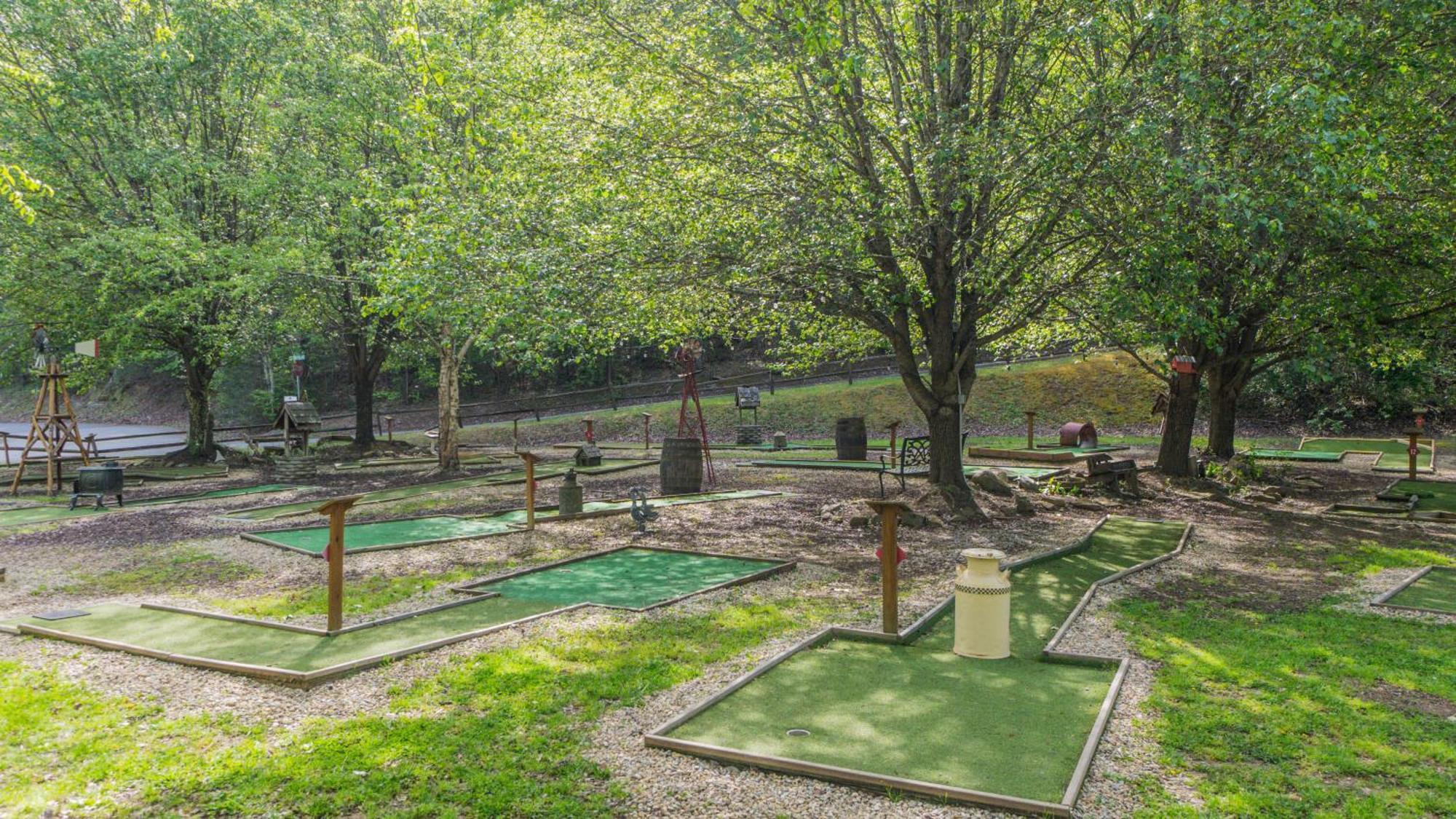 Вилла Yoli Bear Hideaway Севьервилл Экстерьер фото