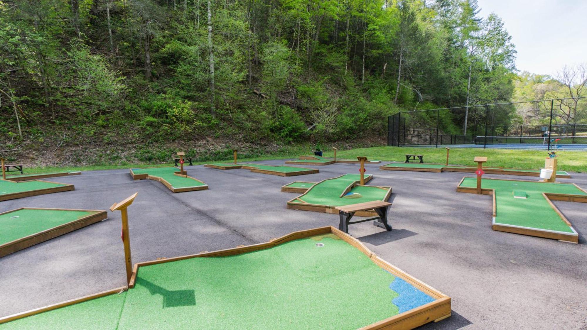 Вилла Yoli Bear Hideaway Севьервилл Экстерьер фото