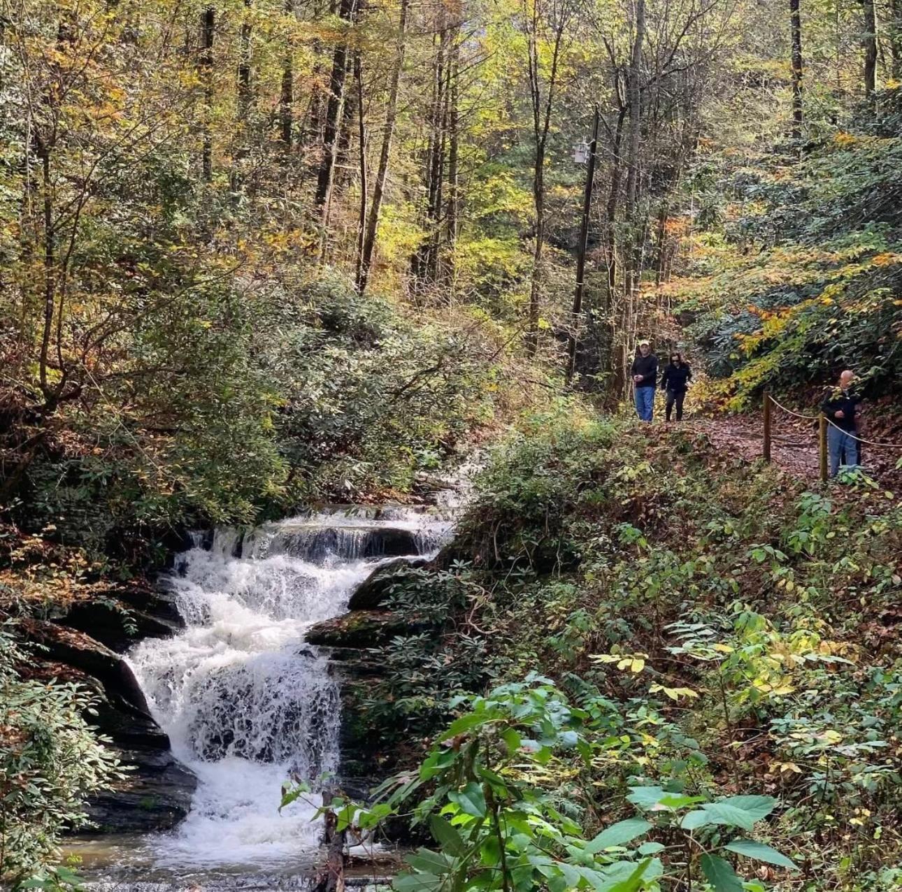 Вилла Yoli Bear Hideaway Севьервилл Экстерьер фото