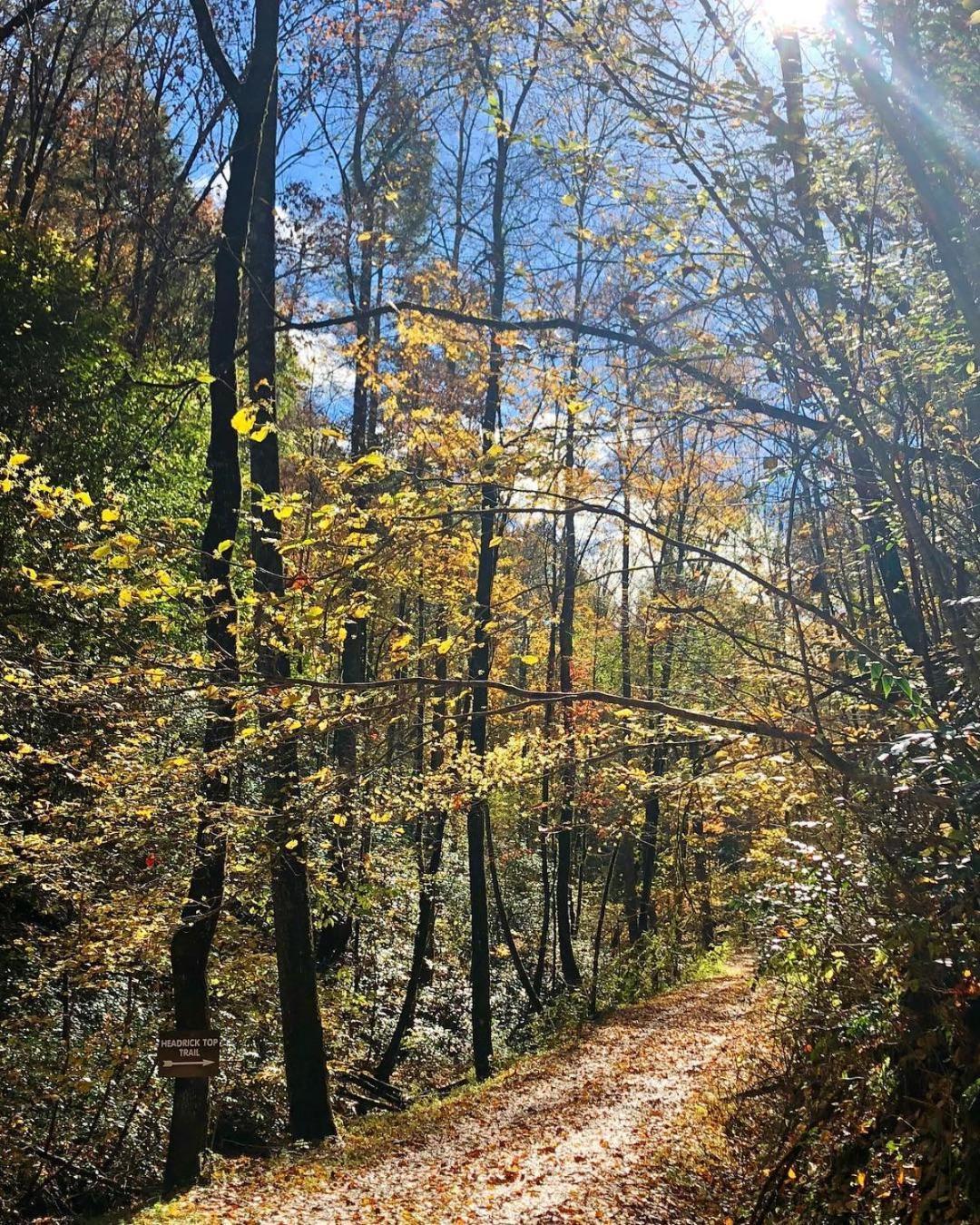 Вилла Yoli Bear Hideaway Севьервилл Экстерьер фото